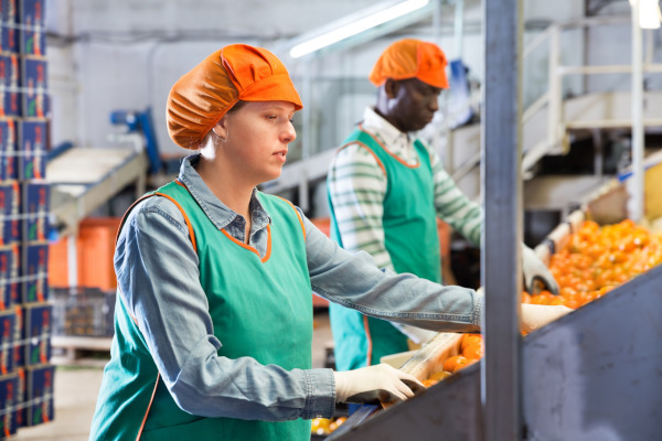 Azienda lavorazioni prodotti agricoli Rischio medio